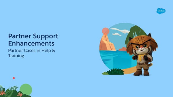 FY23 Salesforce Partner Program Launch Deck - Page 102