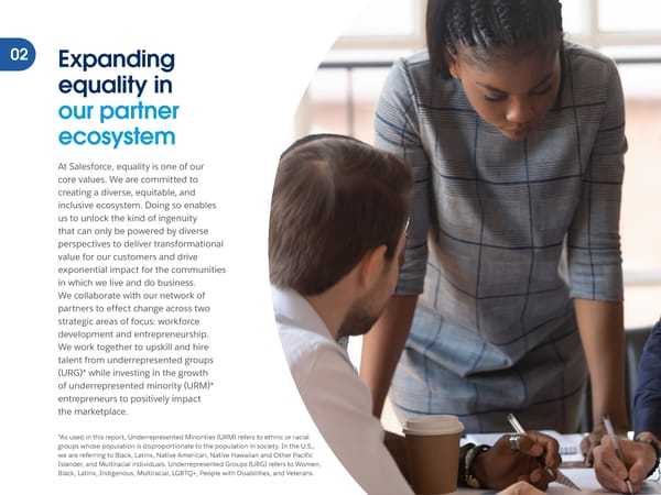 Salesforce Partner Ecosystem Equality Report - Page 4