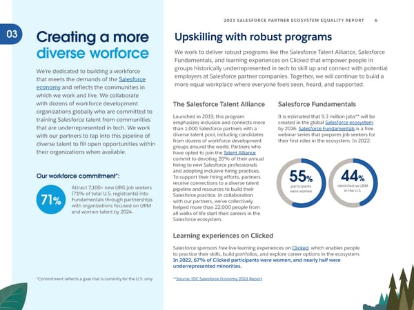 Salesforce Partner Ecosystem Equality Report - Page 6