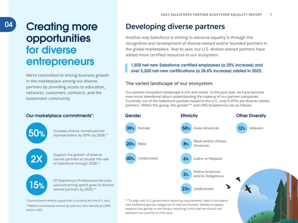 Salesforce Partner Ecosystem Equality Report - Page 7