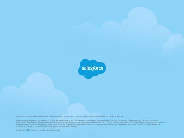 Salesforce Partner Ecosystem Equality Report - Page 12