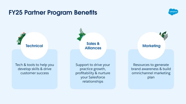 Partner Program Benefits - Consulting Track - Page 2