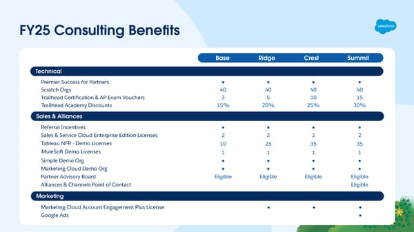 Partner Program Benefits - Consulting Track - Page 3