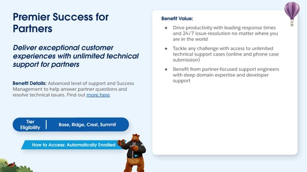 Partner Program Benefits - Consulting Track - Page 6