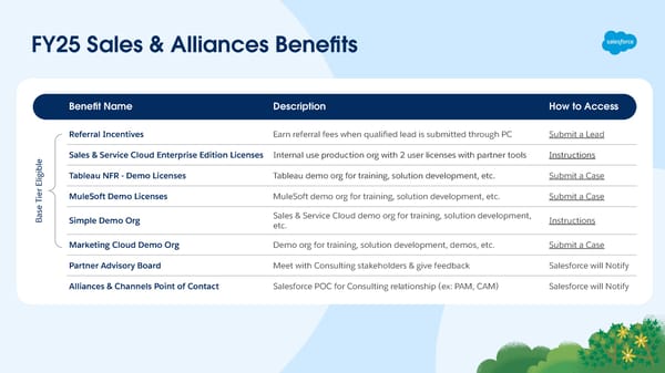 Partner Program Benefits - Consulting Track - Page 11