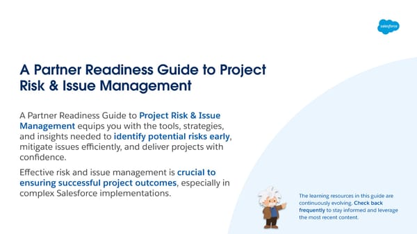 A Partner Readiness Guide to Project Risk & Issue Management - Page 2