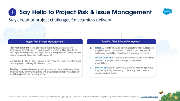 A Partner Readiness Guide to Project Risk & Issue Management - Page 4