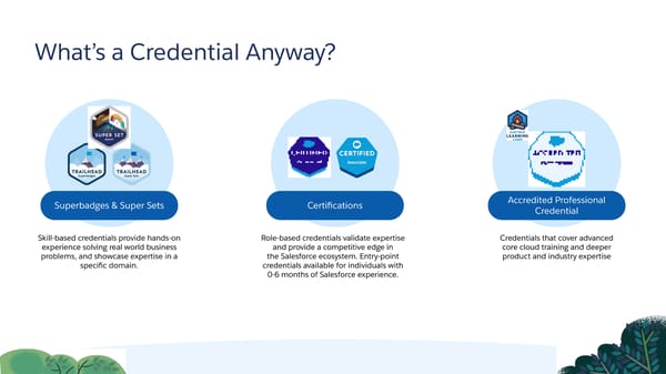 Technical Learning Journeys - Page 3