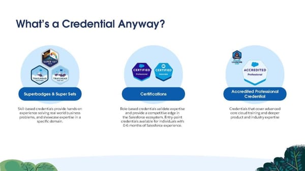 Technical Learning Journeys - Page 3